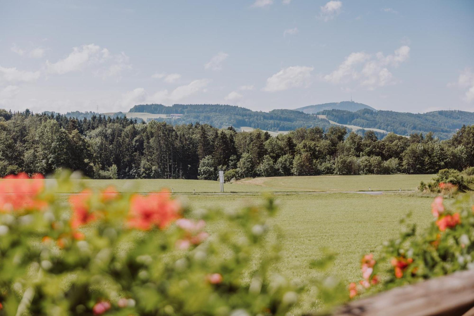 Landhotel Gschirnwirt Eugendorf Exteriér fotografie