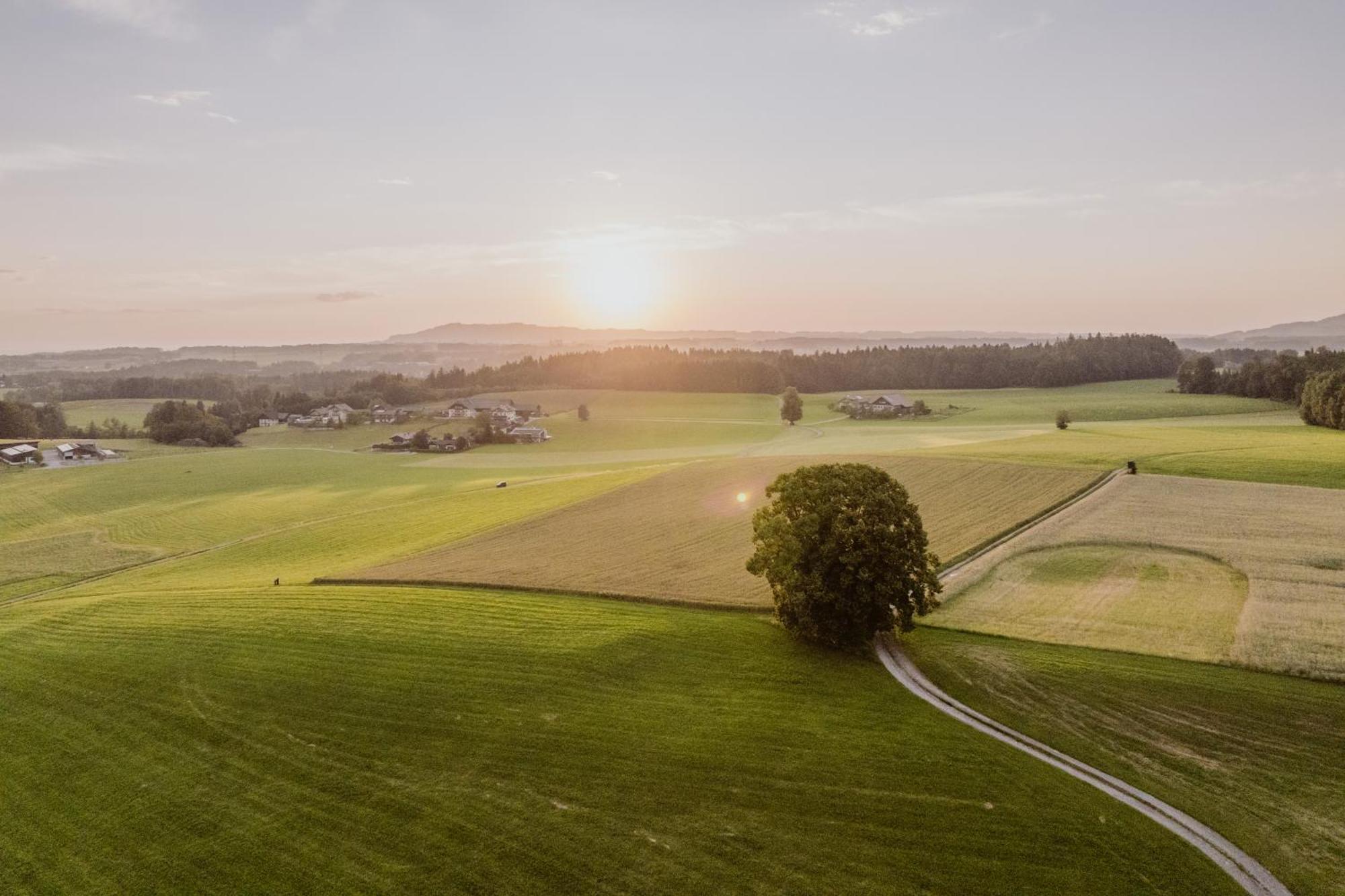 Landhotel Gschirnwirt Eugendorf Exteriér fotografie